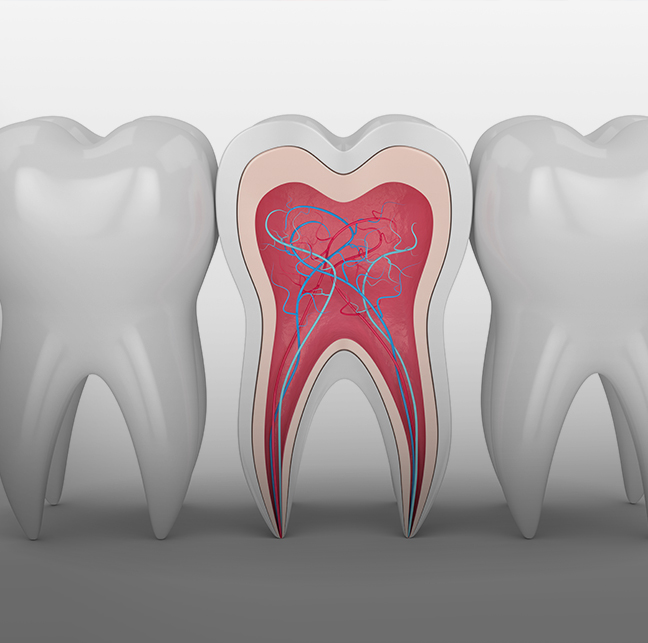 Treatment - 23 Dental